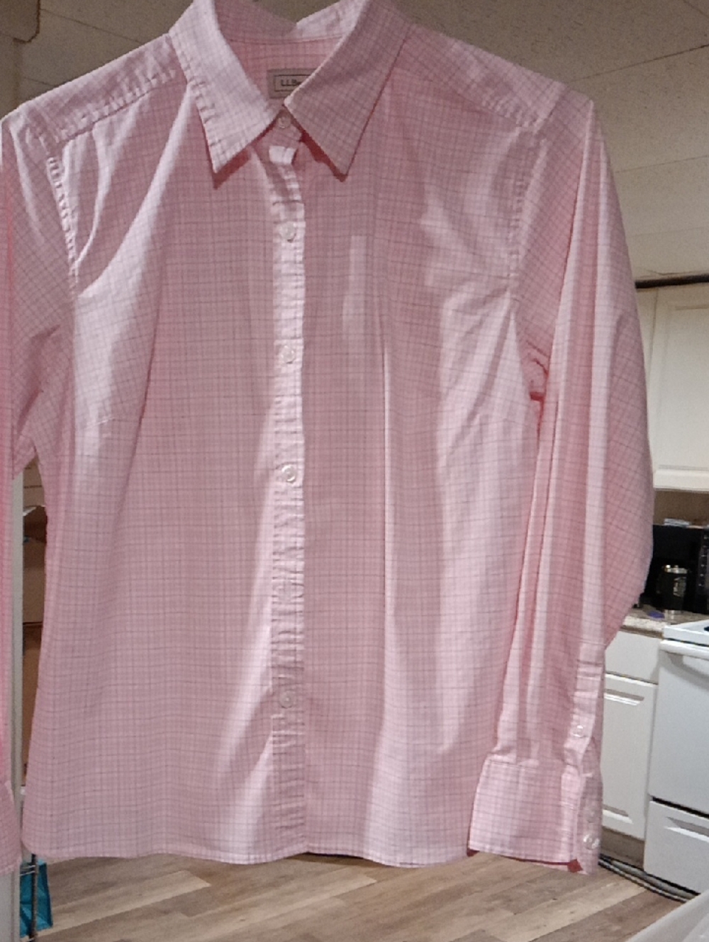L.L. Bean Pink Micro-Check Button-Down Shirt